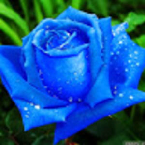 Meet your Posher, Marinna